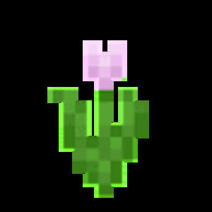 Meet your Posher, Megumi